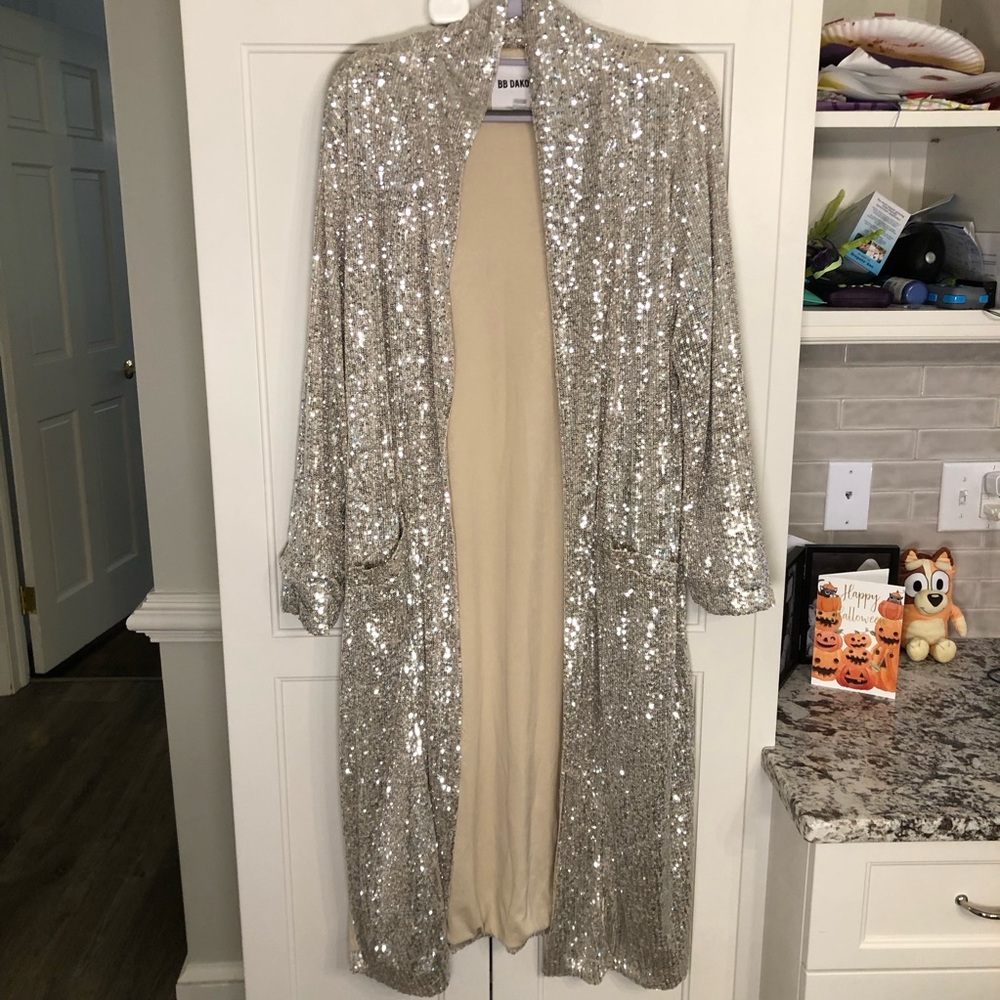 BB Dakota Shimmering Silver Sequin Cardigan